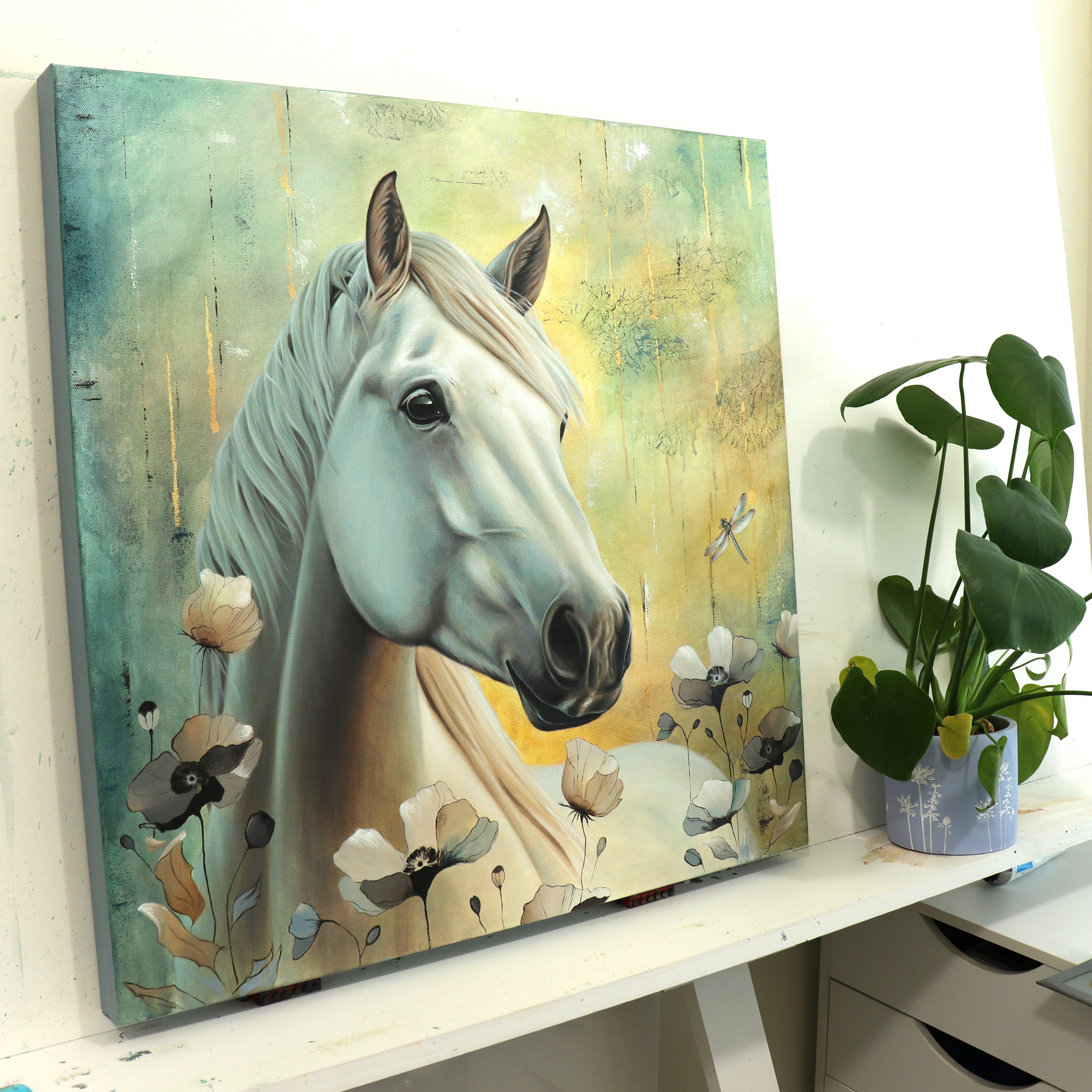 "Beauty of Reflection"