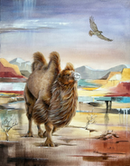 A Bactrian Male Camel