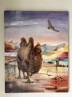 A Bactrian Male Camel