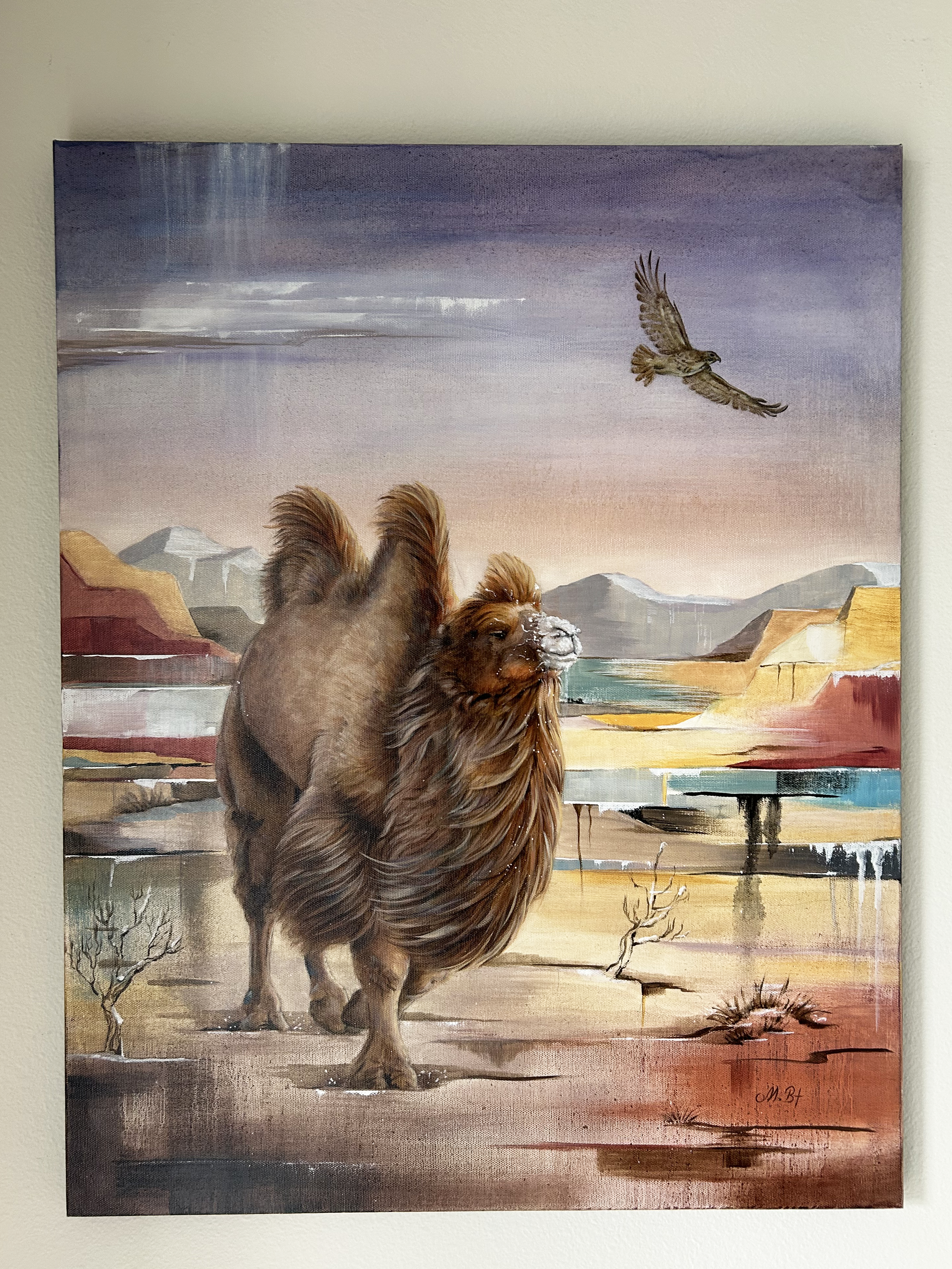 A Bactrian Male Camel